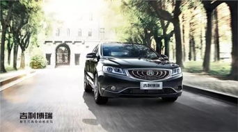 博瑞 老帶新 友聚會(huì)活動(dòng)火熱進(jìn)行中