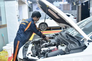 潮陽一司機(jī)路過龍光這里,有所發(fā)現(xiàn)